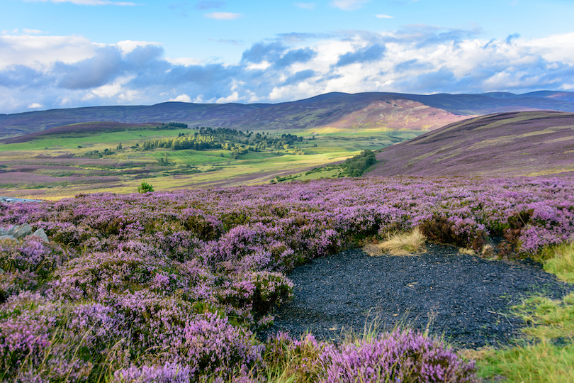 Cairngorms National Park