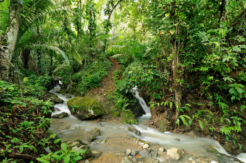 Darien National Park