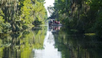 Best Things to Do in Louisiana