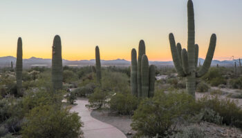 Tourist Attractions in Arizona