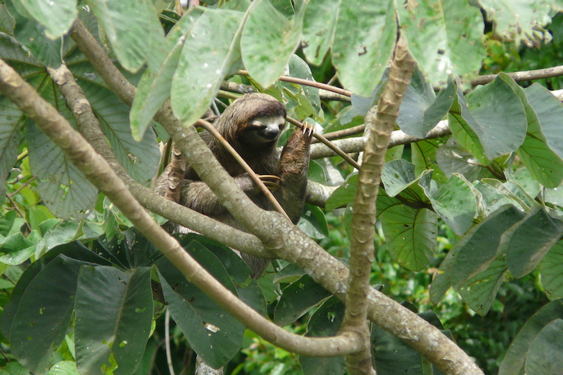 Soberania National Park