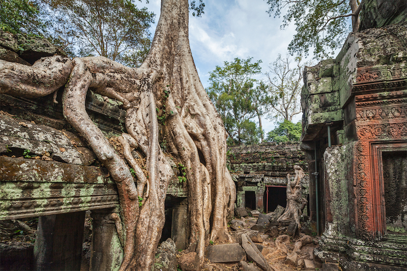 Ta Prohm