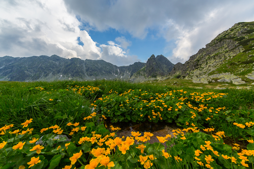 Transylvanian Alps